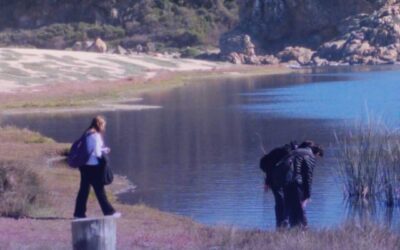 Salida pedagógica: estudiantes de 3.° y 4.° Medio del Plan Electivo Biología de los Ecosistemas visitan el humedal de Tunquén