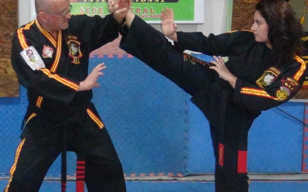 Taller de Kenpo Karate MGI en Sección Media