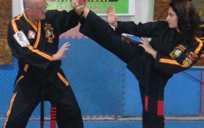 Taller de Kenpo Karate MGI en Sección Media