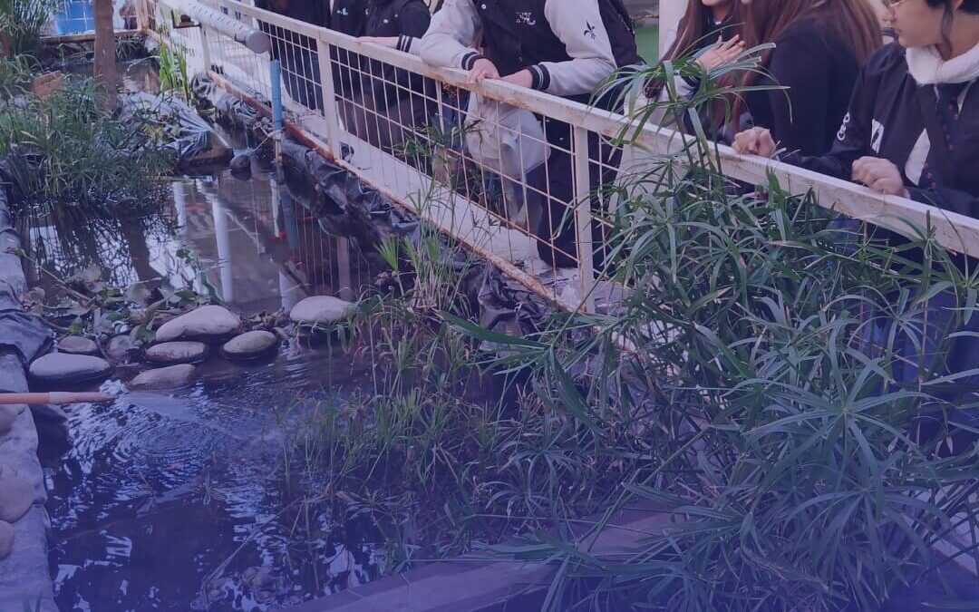 Construcción de biotopos: Estudiantes asisten a capacitación para la instalación de una pequeña zona natural en el colegio