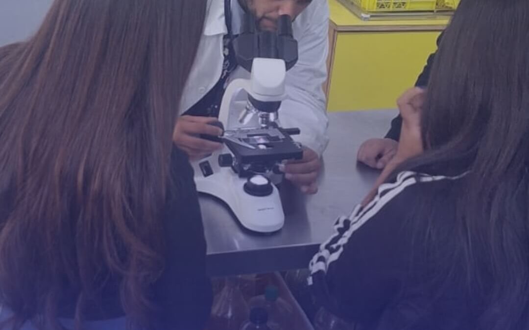 Estudiantes de Sección Media exploran el ciclo celular en trabajo colaborativo