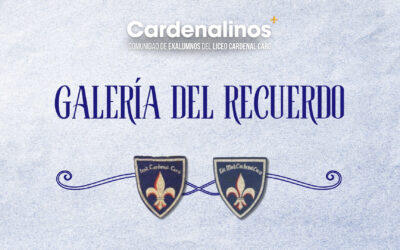 Galería del Recuerdo LCC