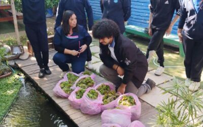 Intercambio de plantas entre comunidades educativas del Liceo Cardenal Caro y el Liceo María Carvajal