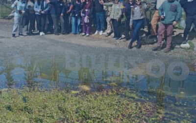 Fortaleciendo la educación ambiental: Capacitación sobre mantenimiento de biotopos escolares