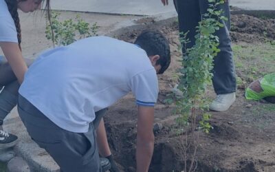 Estudiantes cardenalinos de Sección Media participan en jornada de reforestación en el Parque O’Higgins de Buin