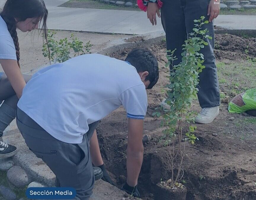 Estudiantes cardenalinos de Sección Media participan en jornada de reforestación en el Parque O’Higgins de Buin